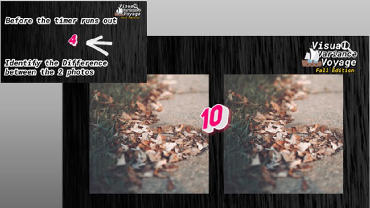 Visual Variance Voyage: Fall Edition image number null